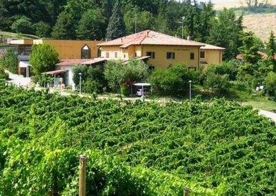 Borgo delle Vigne